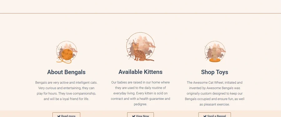 A section of the Awesome Bengals website