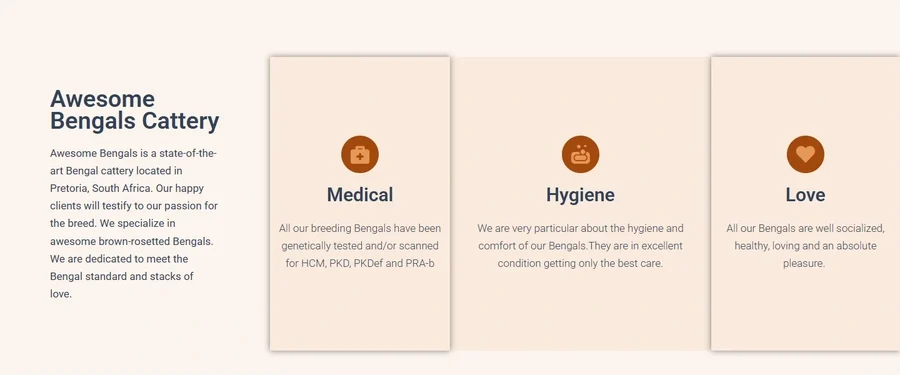 A section of the Awesome Bengals website