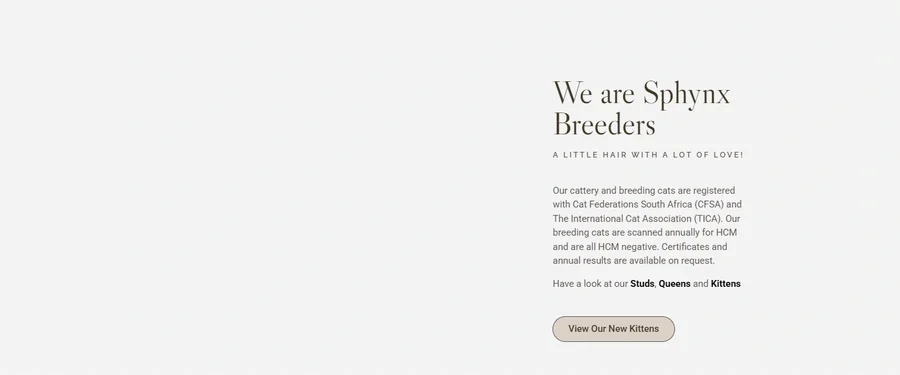 A section of the Lady Meowsalot website