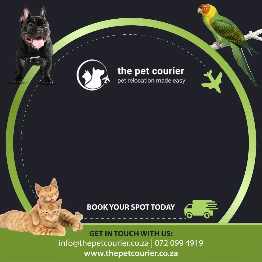 The Pet Courier social media advert