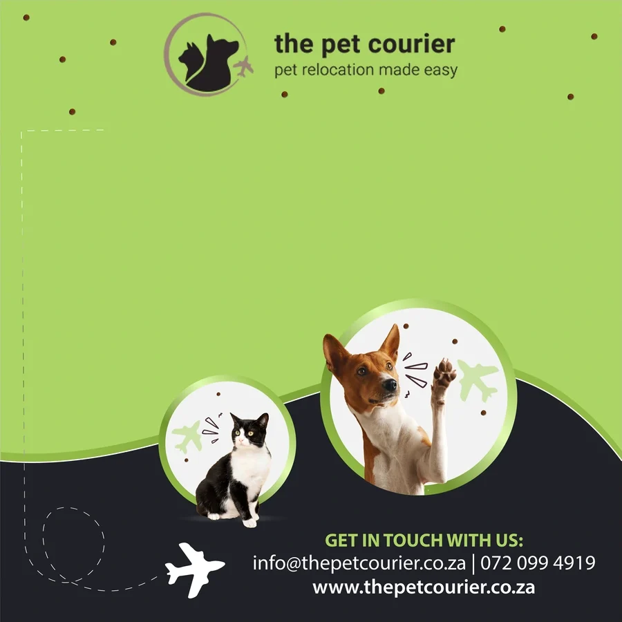 The Pet Courier social media advert